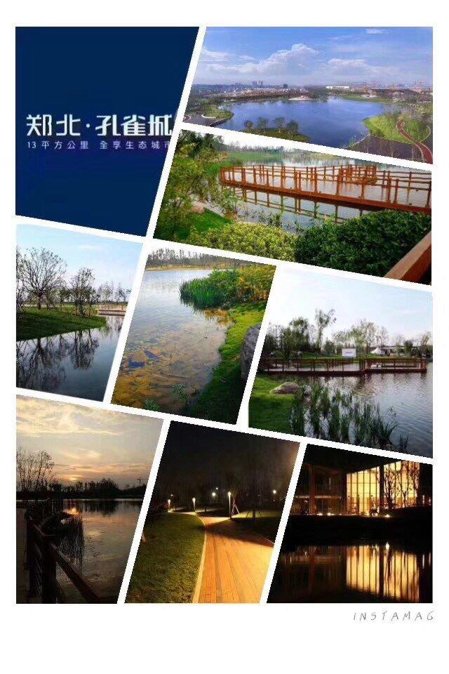 郑北孔雀城 3室2厅2卫