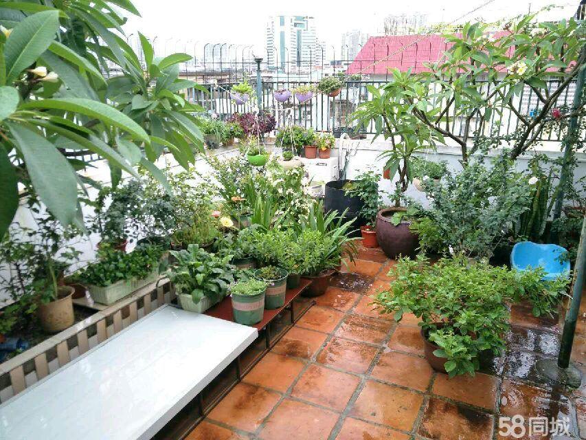 就读东夏小学 五房二厅带四十平花园 自住一层出租一层