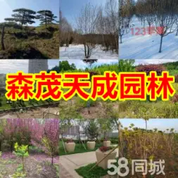 店主头像