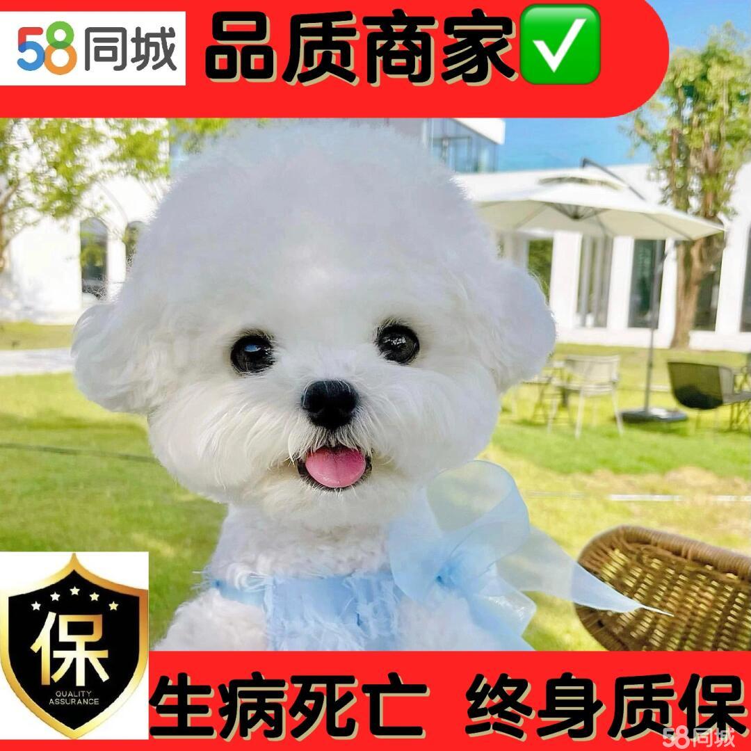 店主头像