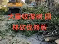 店主头像