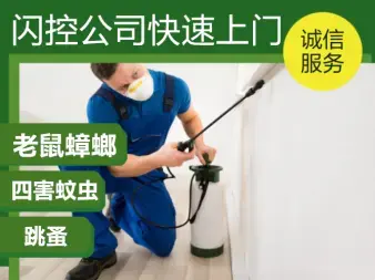店主头像