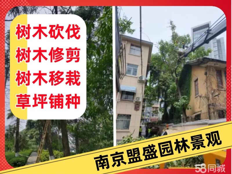 店主头像