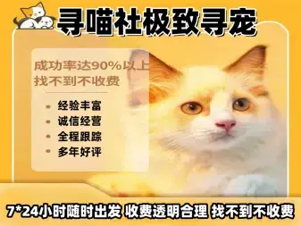 店主头像